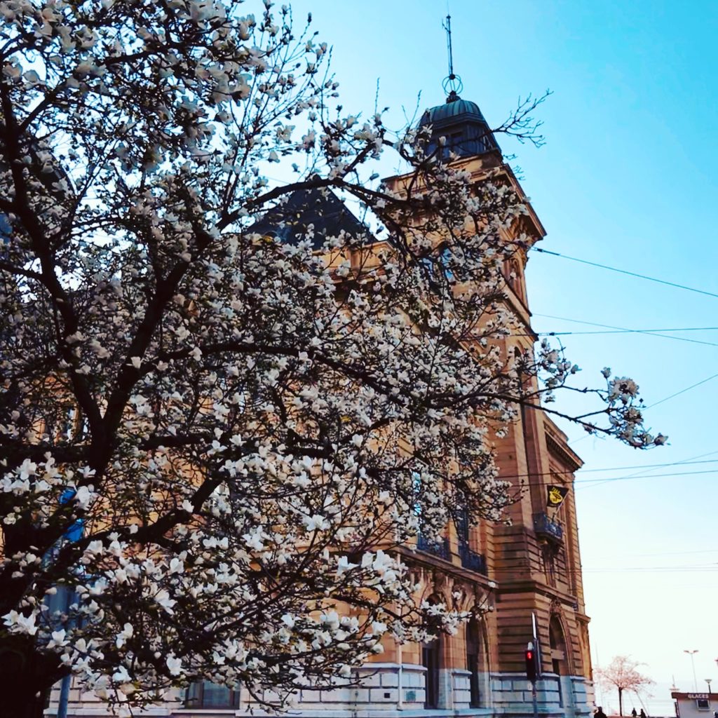 Coworking Neuchâtel à propos de nous
